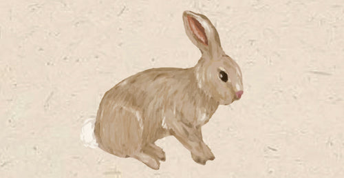 Penny the Bunny Sticker